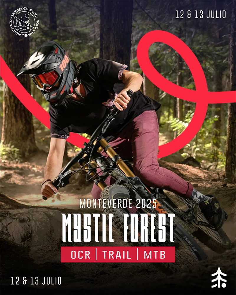 Ride - Mystic Forest 2025