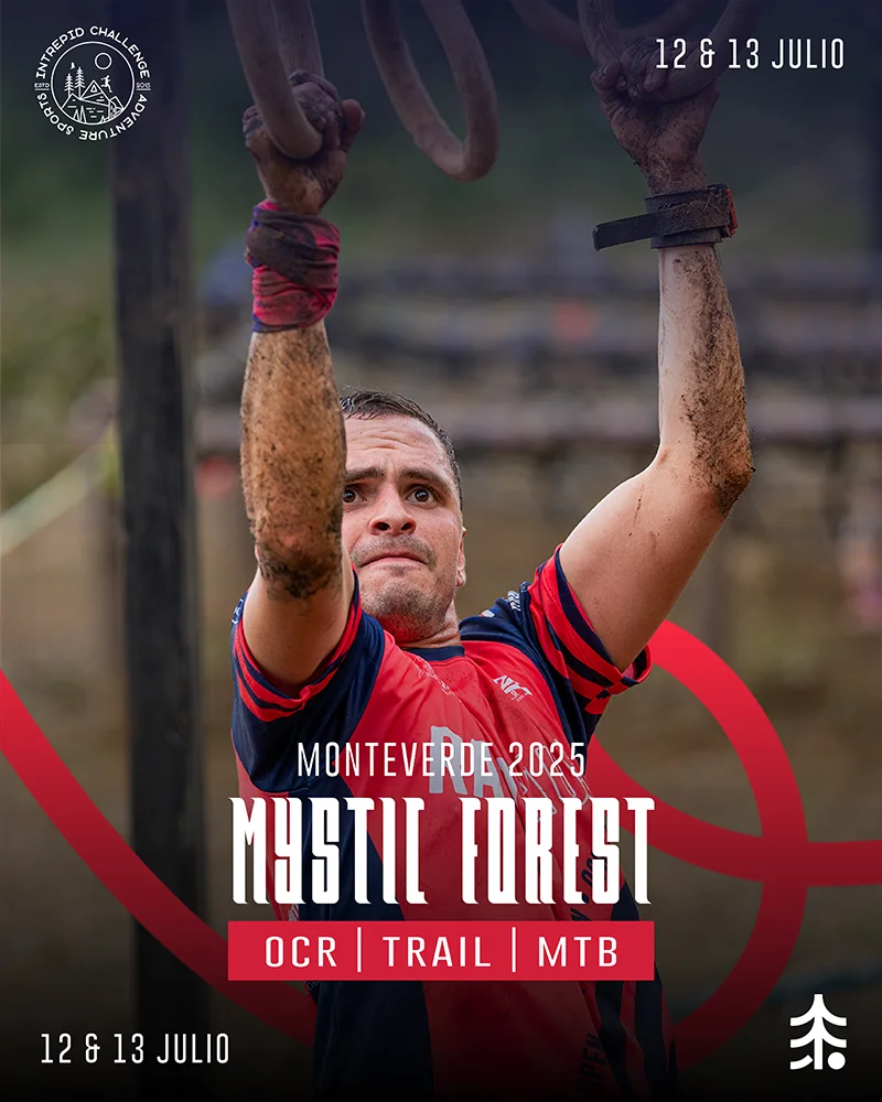 OCR - Mystic Forest 2025