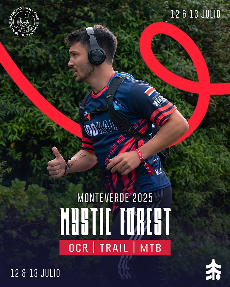 TRAIL - Mystic Forest 2025